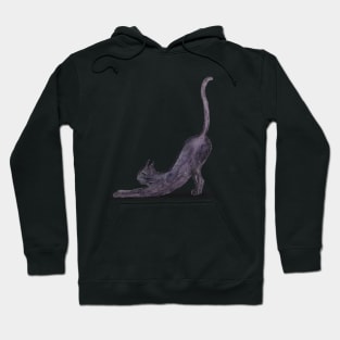 Big stretch! Purple Blob Cat - Hand Painted in Watercolour Hoodie